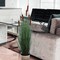 4-Foot Tall Artificial Cattail Grass in Decorative Pot | Low Maintenance Faux Plant for Home and Office Decor | Floral Home by Artificial Flowers
